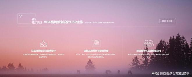 策划公司众多如何精准避雷九游会网址是多少品牌全案(图3) 策划公司众多如何精准避雷九游会网址是多少品牌全案(图3)